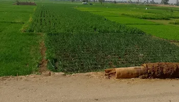 سيارات الكسح