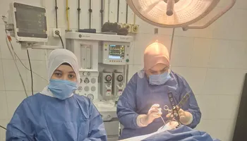 صحة المنوفية 