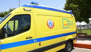 صوره ارشيفيه 