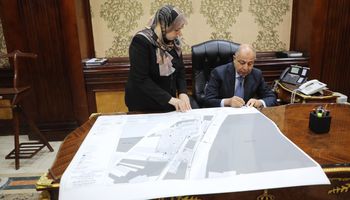 محافظ المنيا 