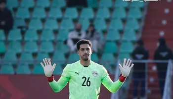 مصطفى شوبير