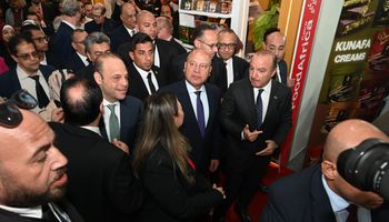 وزير الصناعة 