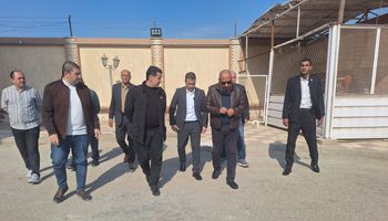 وزير الكهرباء 