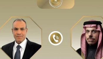 وزيرا الخارجية المصري والسعودي