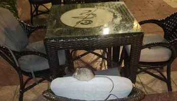 صورة الفأر المتداولة