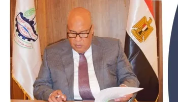 أيمن العشرى