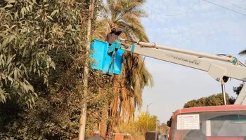 اثناء إنارة الطرق بقنا