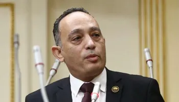 النائب الدكتور فريدي البياضي