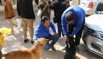 جانب من الحملة