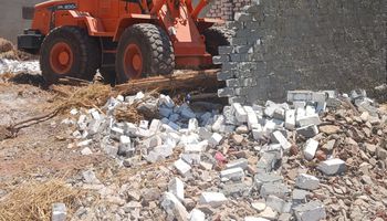 جانب من الحملة 