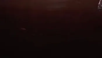 حريق المنوفية 