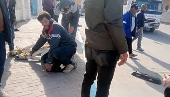 حملة مكبرة علي الماشية بمطروح 