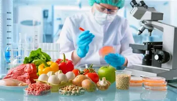 سلامة الغذاء