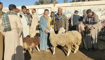 سوق الاغنام