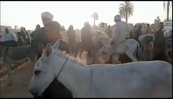سوق حمير 