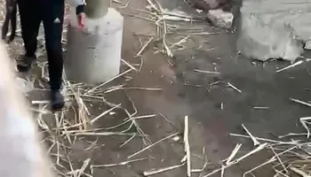 صور الاشخاص 