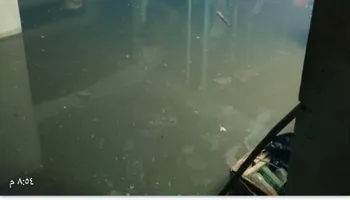 صور المنازل 