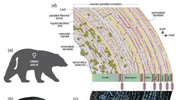 صورة من الدراسة 