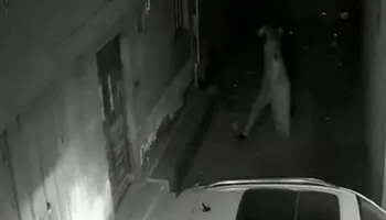 صورة من الواقعة 