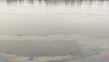 ظهور بقعه الزيت 