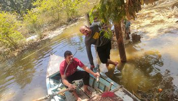 مركب ارشيفيه 