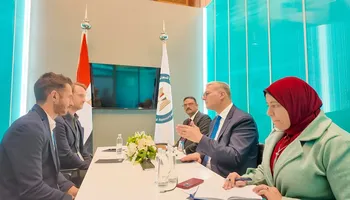 وزير البترول 