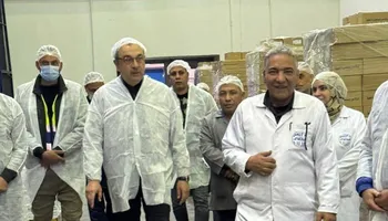 وزير قطاع الأعمال 