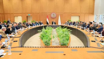 جانب من الفعاليات