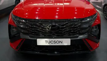 جانب من المعرض 