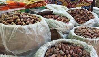 أسعار البلح