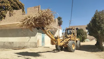 حصاد محصول القصب 