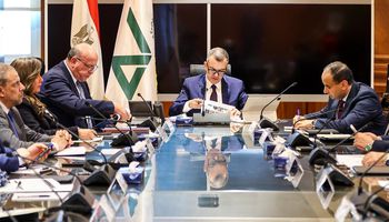 وزير التخطيط