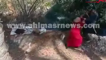 إلقاء سيدة بالسرعة بالبحيرة