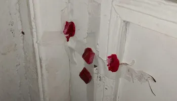 العلاج الحر