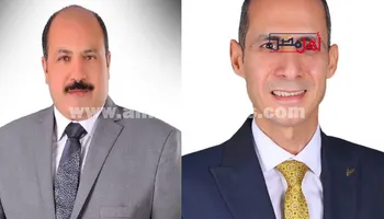 انتخابات المحامين بالبحيرة
