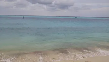 أرشيفية 