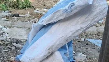 جانب من الحادث 