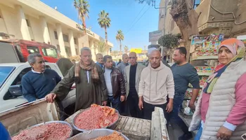 ضبوطات المنوفية 