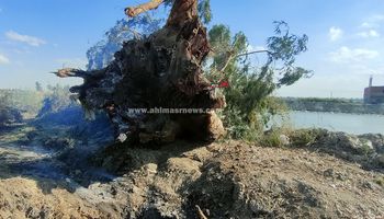 كيلاكيت ثاني مره حريق أشجار اثريه بالإسماعيلية 