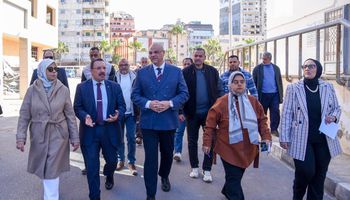 محافظ الإسكندرية 