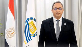 محافظ قنا السابق