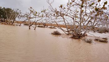 محافظة مطروح 