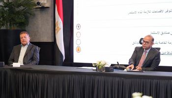 وزير الاستثمار 