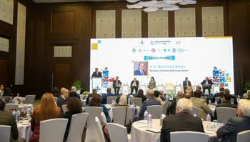 وزير قطاع الاعمال 