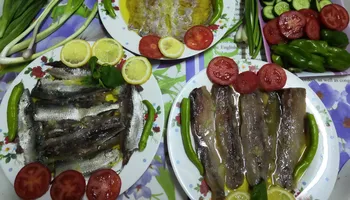 الفسيخ والرنجة