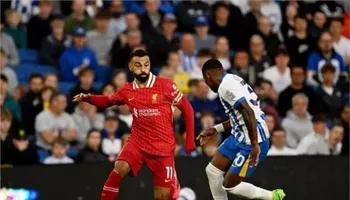 ليفربول وبرايتون 