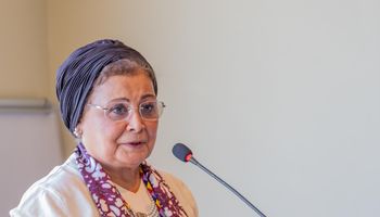 الدكتورة عبلة الألفي، نائب وزير الصحة والسكان