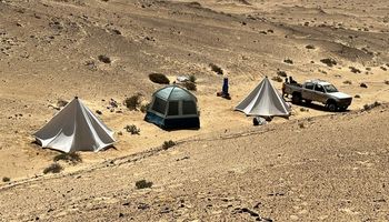 جانب من الفعاليات