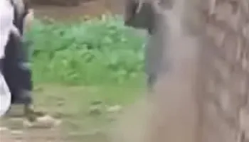 استجابة لـ اهل مصر