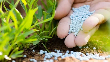 شركة إيفرجرو للأسمدة المتخصصة